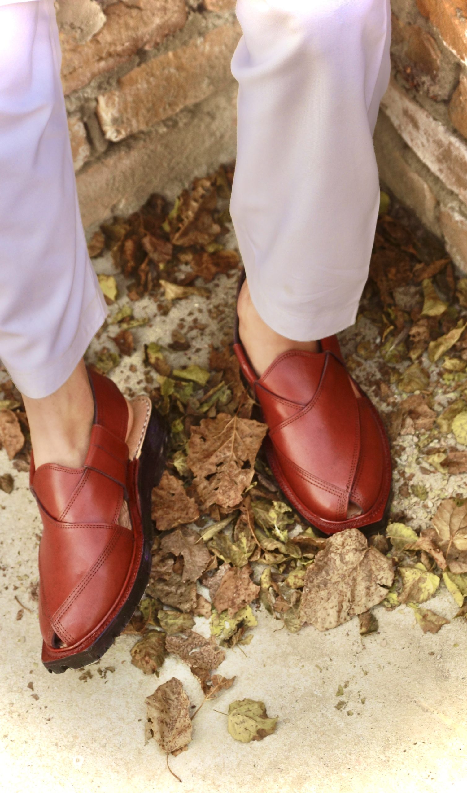 Norozi IMG 5498 Scaled